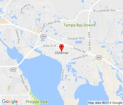 logo-image - Oldsmar-FL